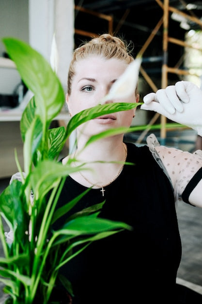 Frau mit Handschuhen pflegt grüne Zimmerpflanze, moderner Innenraum, Pflanzenpflege