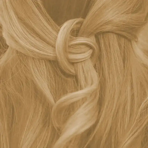 Tinta per capelli vegetale professionale SET biondo chiaro caldo "warm light blond"