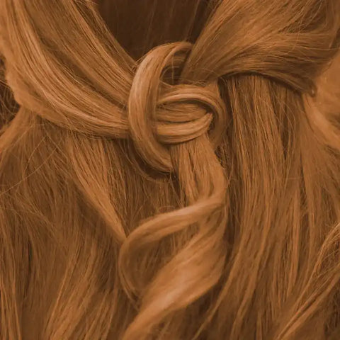 Professional Plant Hair Colour SET Warm Golden Brown