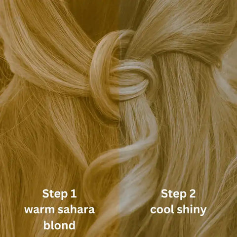 Professional Plant Hair Colour Cool Sahara Blond "Cool Sahara Blond in 2 Steps" 2 x 90 g Refill Packs