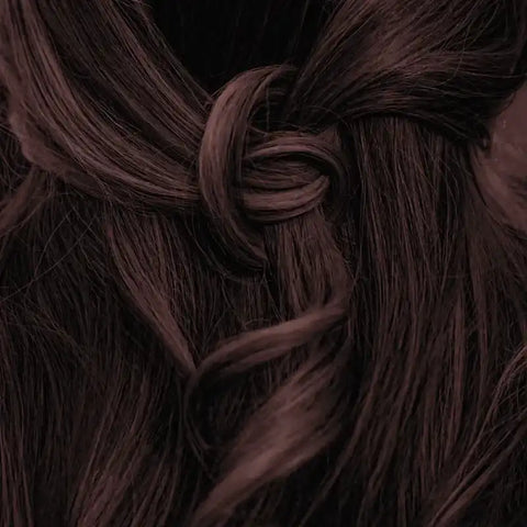 Professional Plant Hair Colour SET Cool Deep Mahogany Black