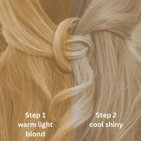 Professional Plant Hair Colour Cool Light Blond "Cool Light Blond in 2 Steps" 2 x 90 g Refill Packs