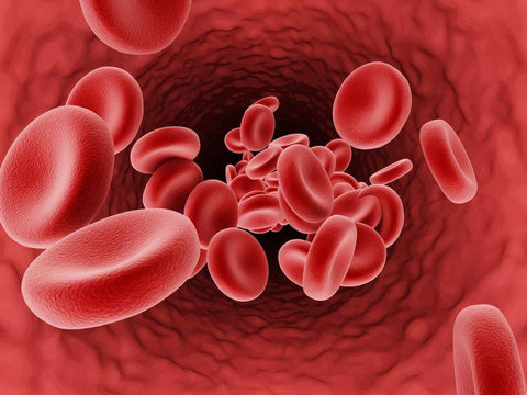 Nattokinase Vita (Das Plus für Blut & Zelle) 90 Kapseln