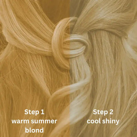 Professional Plant Hair Colour Cool Summer Blond "Cool Summer Blond in 2 Steps" 2 x 90 g Refill Packs