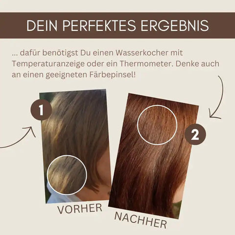 Professional Plant Hair Colour SET Warm Golden Brown