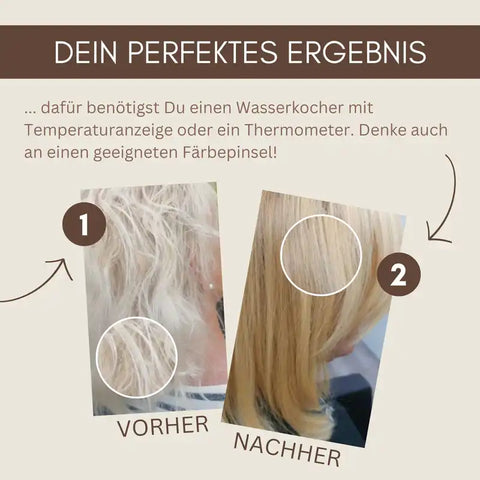 Professional Plant Hair Colour SET Warm Summer Blond - Without Red Component