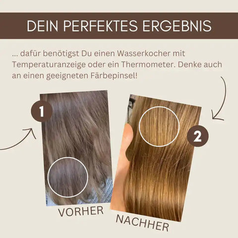 Professional Plant Hair Colour SET Warm Sahara Blond