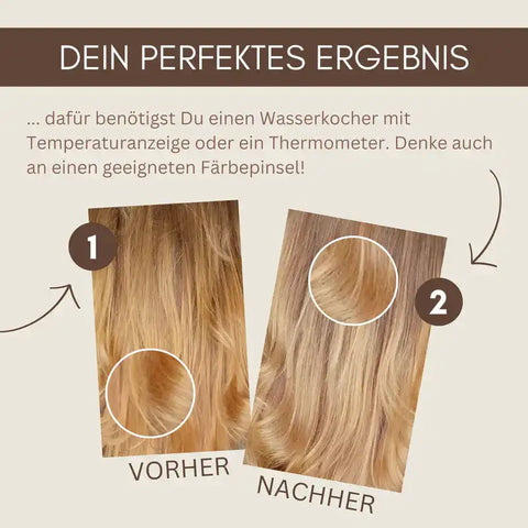 Professional Plant Hair Colour Cool Light Blond "Cool Light Blond in 2 Steps" 2 x 90 g Refill Packs