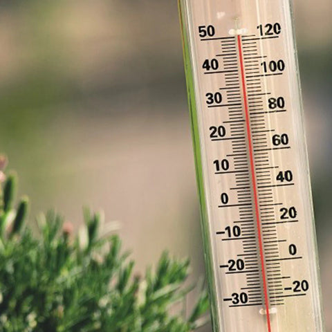 Profi Thermometer Messbereich von -10°C bis +110°C ideal für Pflanzenhaarfarbe o. Tee