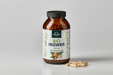 Bio Ingwer - 1200 mg pro Tagesdosis (2 Kapseln) - 240 Kapseln