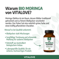 Bio-Moringa-Oleifera-VITALOVE