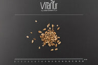 Bio Sonnenblumenkerne gekeimt auf schwarzem Hintergrund mit Lineal, Vitanur Logo oben