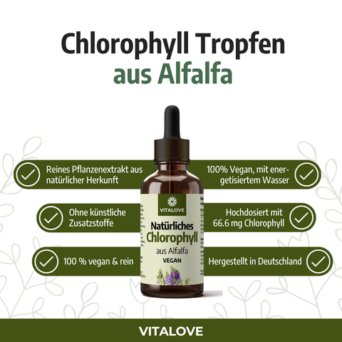 Chlorophyll Tropfen - aus Alfalfa - 66,6 mg pro Tagesdosis - 50ml