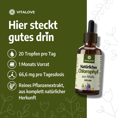 Chlorophyll Tropfen - aus Alfalfa - 66,6 mg pro Tagesdosis - 50ml