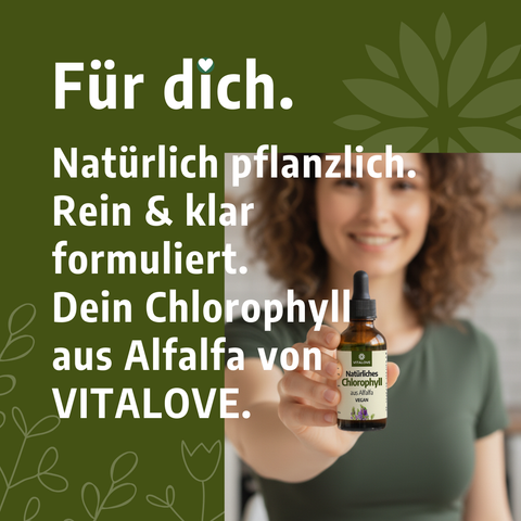 Chlorophyll Tropfen - aus Alfalfa - 66,6 mg pro Tagesdosis - 50ml