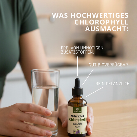 Chlorophyll Tropfen - aus Alfalfa - 66,6 mg pro Tagesdosis - 50ml