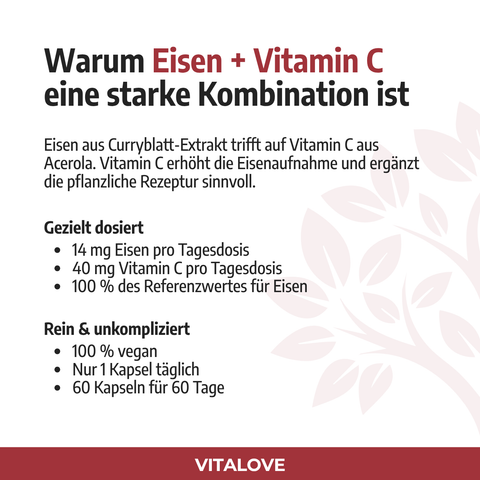 Vorteile von Vitalove Eisen und Vitamin C Kapseln auf einen Blick