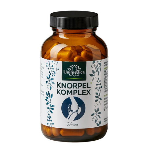 Knorpel Komplex - mit MSM + Hyaluron + Vitaminen + Weihrauch - 120 Kapseln