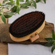 Körperbürste aus Holz mit dunklen Borsten, auf Steinplatte und Pflanzen, Naturkosmetik