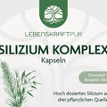 Lebenskraftpur Silizium Komplex Kapseln Produktetikett mit Zutaten, Dosierung, Logo und Icons