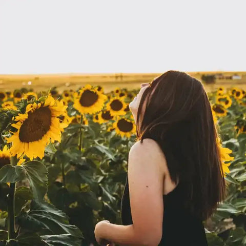Frau mit braunen Haaren im Sonnenblumenfeld bei Sonnenuntergang, Sommer Natur