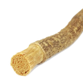 Miswak Zahnbürste aus Naturholz, naturbelassen, auf neutralem Hintergrund