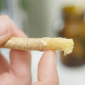 Hand hält natürliche Miswak Zahnbürste mit Borsten, Nahaufnahme, nachhaltige Mundpflege