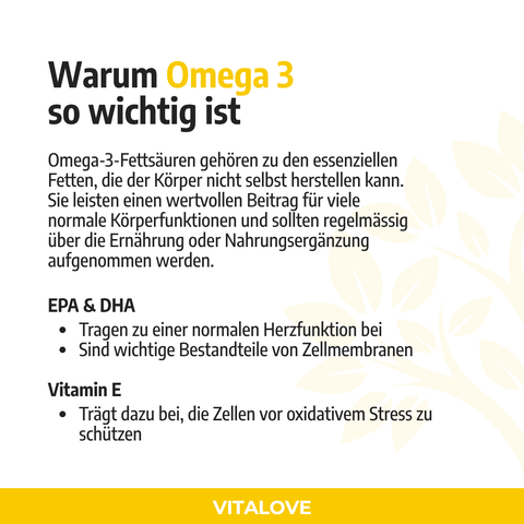 Omega 3 - Premium Fischöl mit 240 mg EPA und 320 mg DHA - 90 Kapseln