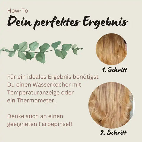 Professional Plant Hair Colour Cool Summer Blond "Cool Summer Blond in 2 Steps" 2 x 90 g Refill Packs
