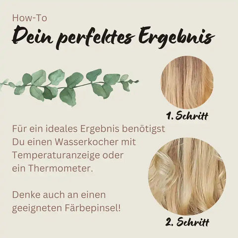 Professional Plant Hair Colour Cool Sahara Blond "Cool Sahara Blond in 2 Steps" 2 x 90 g Refill Packs