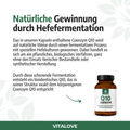 Natürliches Q10 aus Hefefermentation