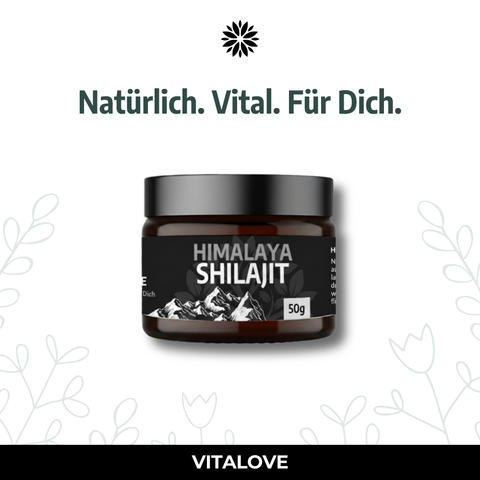 Shilaijt-Harz-VITALOVE