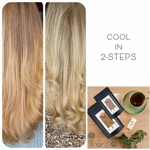 Professional Plant Hair Colour Cool Summer Blond "Cool Summer Blond in 2 Steps" 2 x 90 g Refill Packs