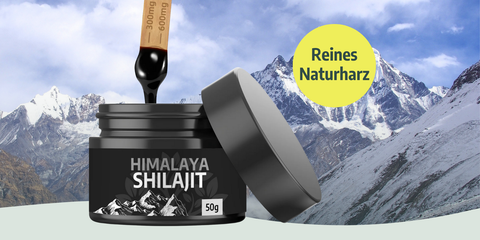 Himalaya Shilajit