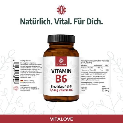 Vitamin-B6-Kapseln-VITALOVE