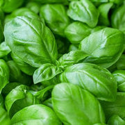 Vitamin K2