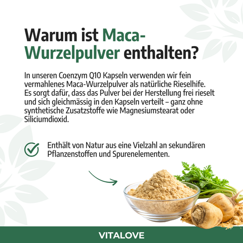 Maca-Wurzelpulver in Glasschale mit Maca-Wurzeln, Text zu Coenzym Q10, VITALOVE Logo