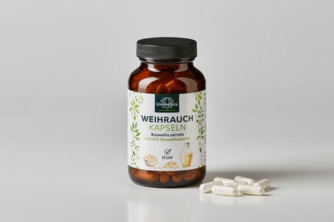 Weihrauch - Boswellia serrata - 400 mg pro Tagesdosis (1 Kapsel) - 140 Kapseln