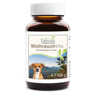Frankincense - 100 g for Dogs in a Jar