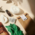 Haarfärbemittel Set mit Flasche, Handschuhen, Watte, Filter, Teebeutel und Tüte auf hellem Untergrund