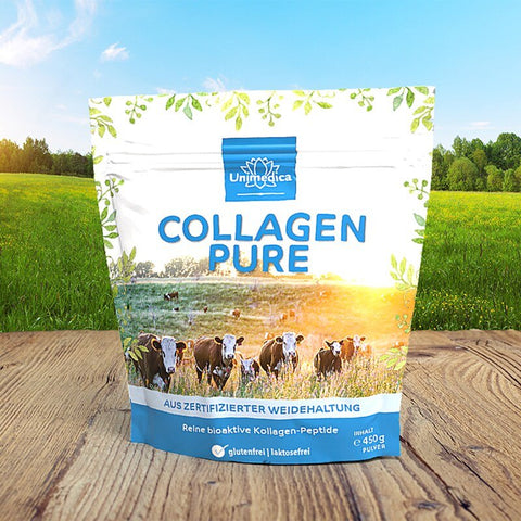 Collagen Pure - Kollagenprotein - aus zertifizierter Weidehaltung - 450 g Pulver