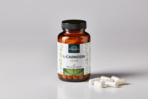 L-carnosine - 500 mg - haute dose - 60 gélules